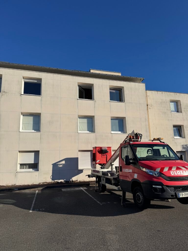 Traitement anti-mousse sur toiture ardoise